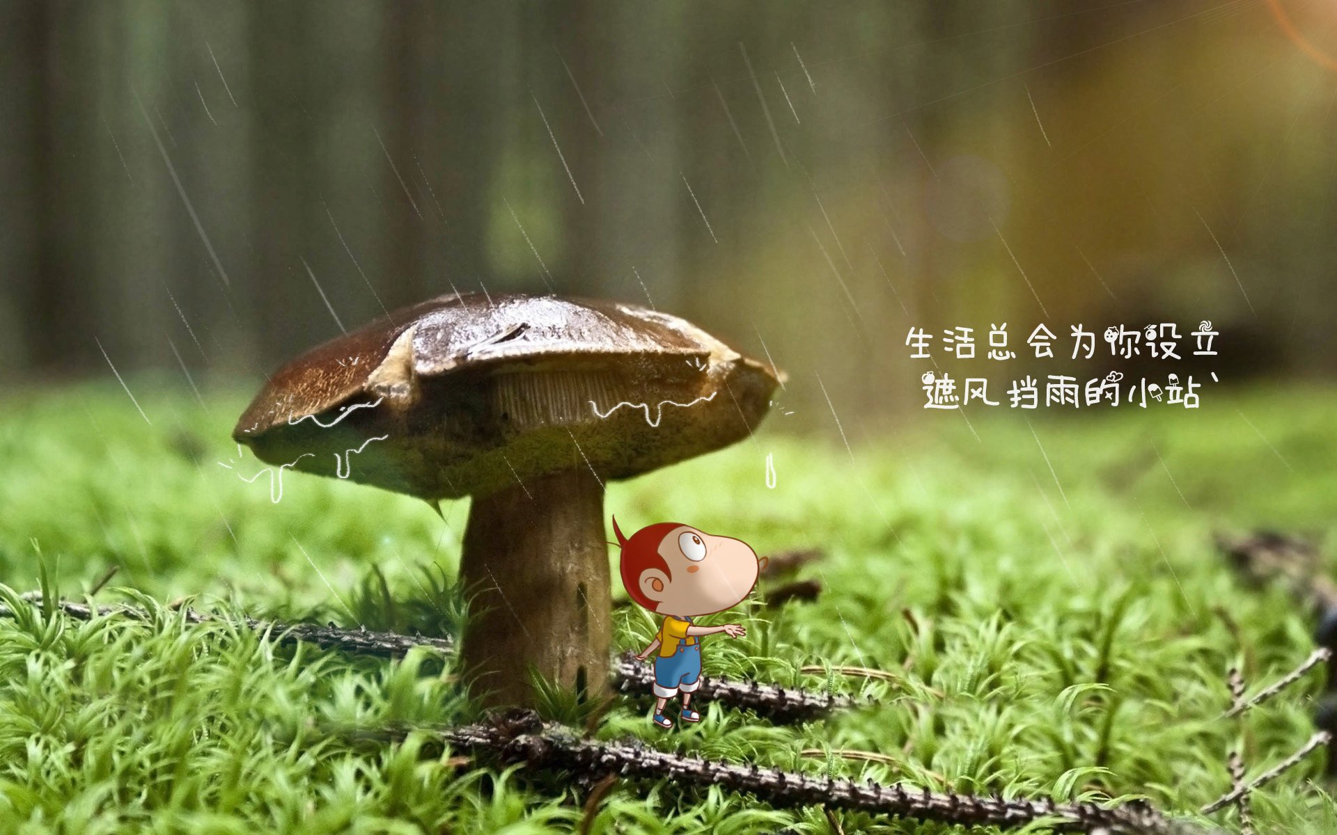 英雄联盟年度巡回赛高速发展，吸引全球关注，英雄联盟比赛回溯