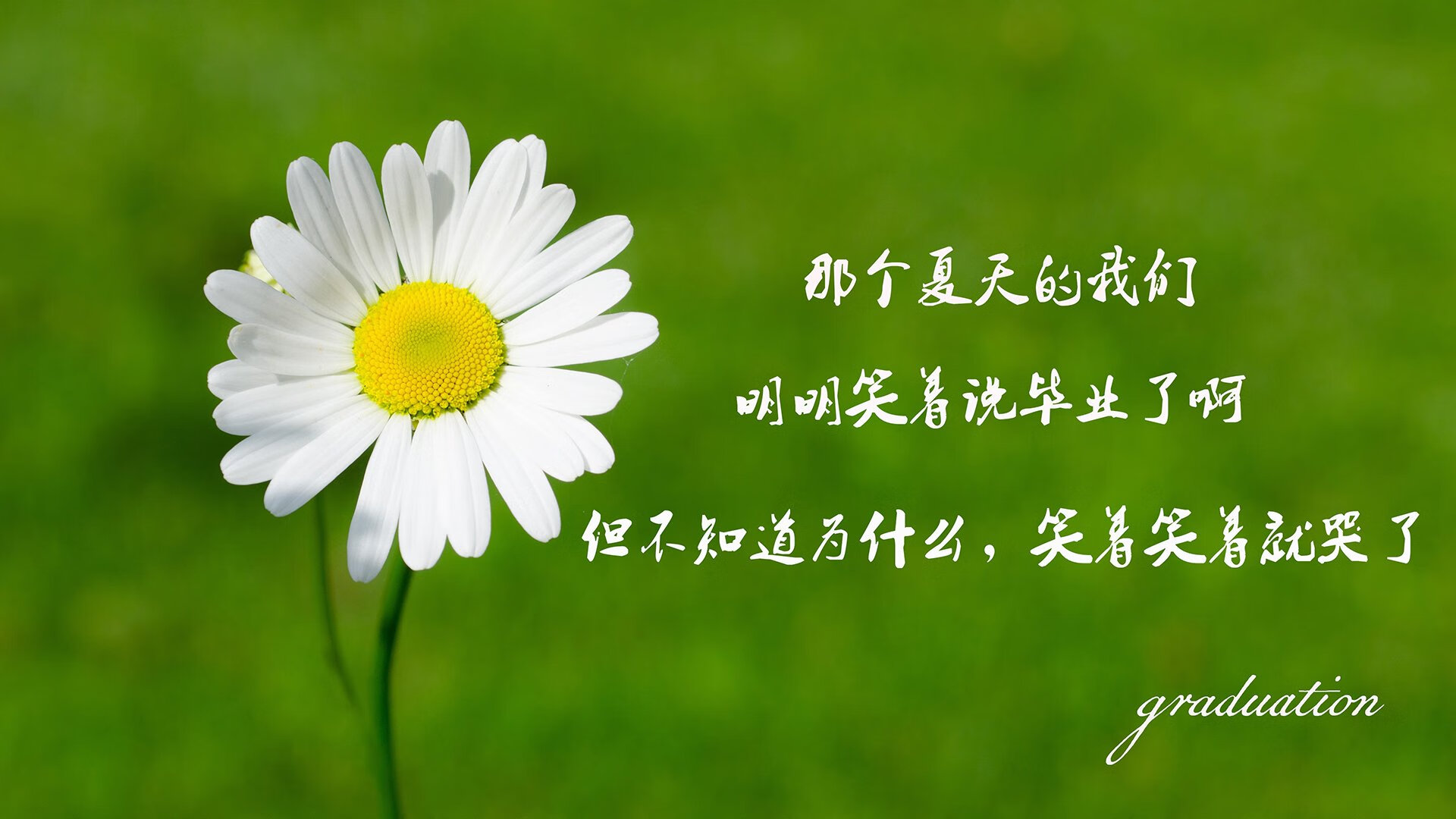 快船新星表现抢眼成为焦点，快船队新阵容图片