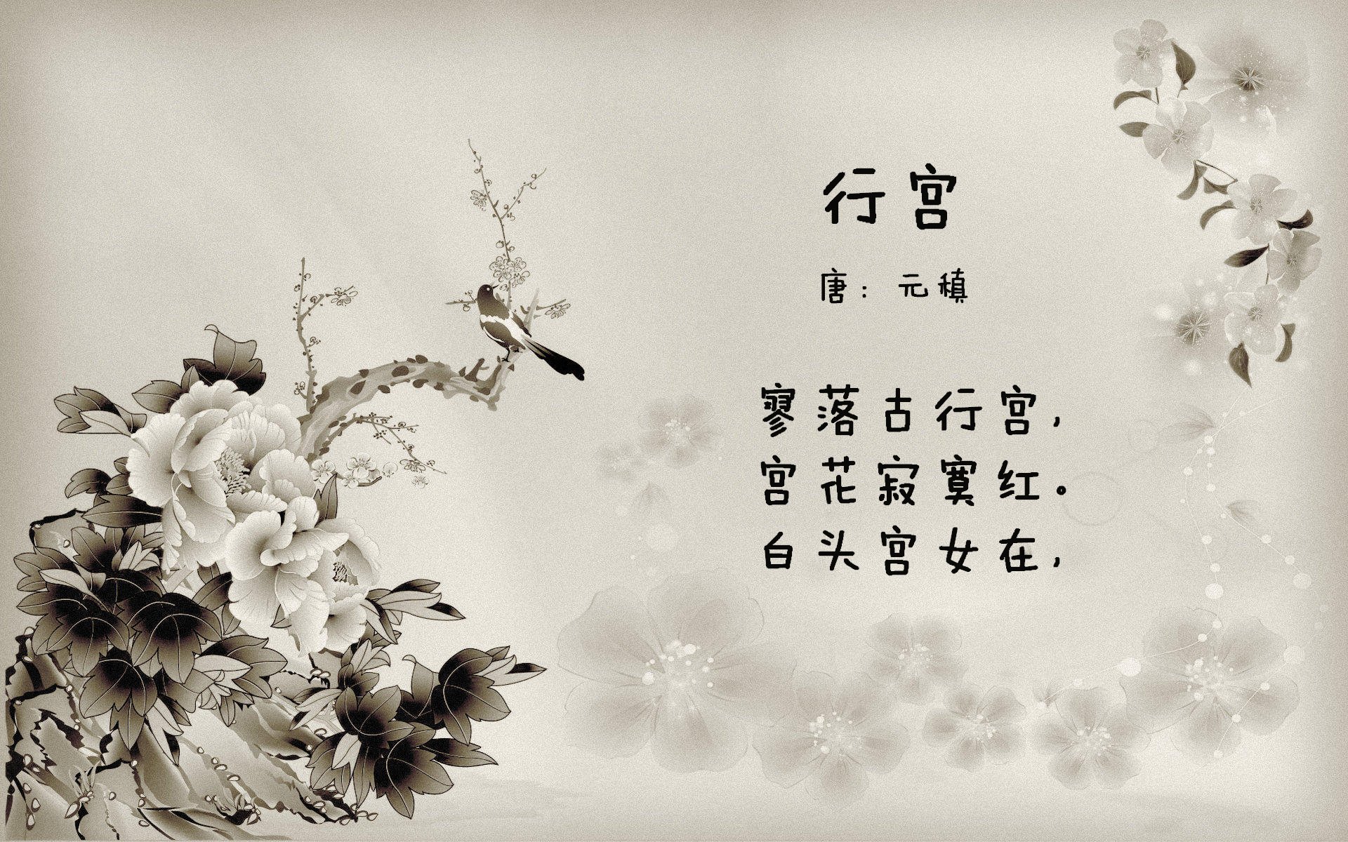 里昂夺胜迎接多特蒙德挑战，全力备战，里昂对蒙彼利埃