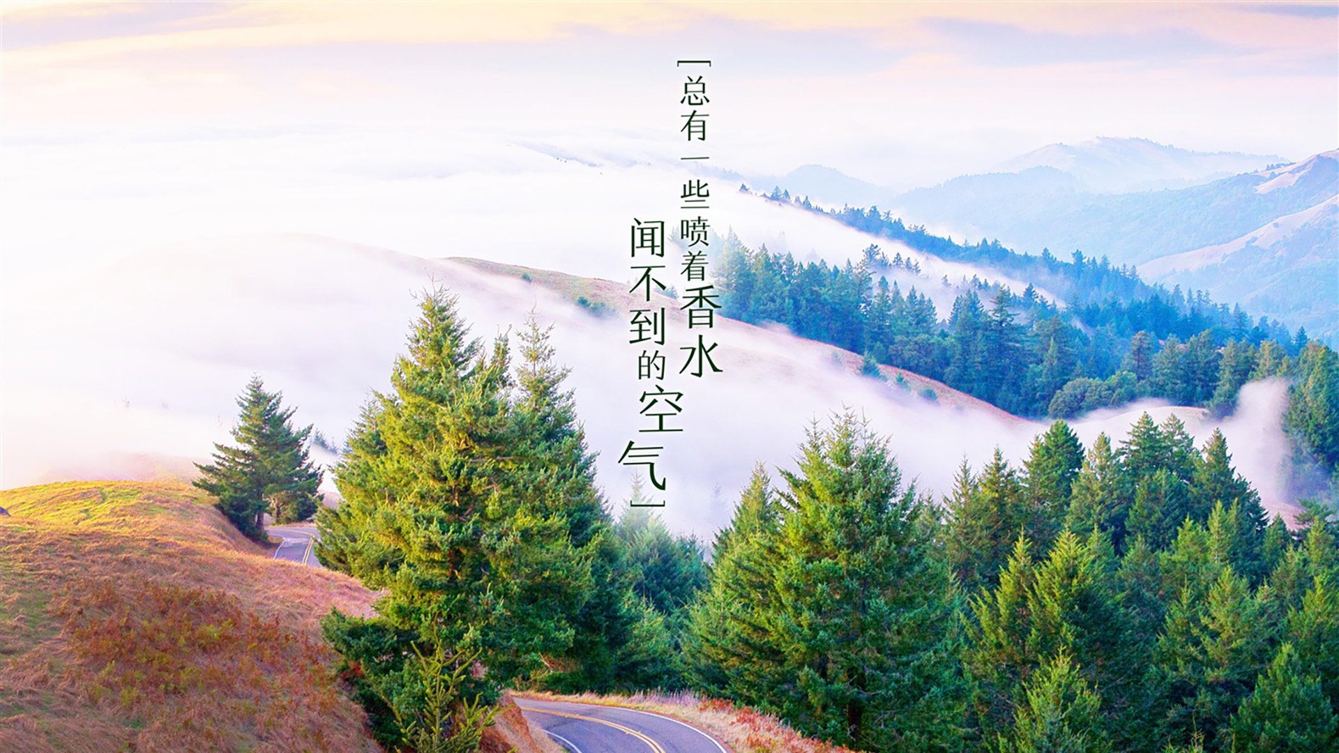 短道速滑训练基地启用智能监测系统，短道速滑项目在哪
