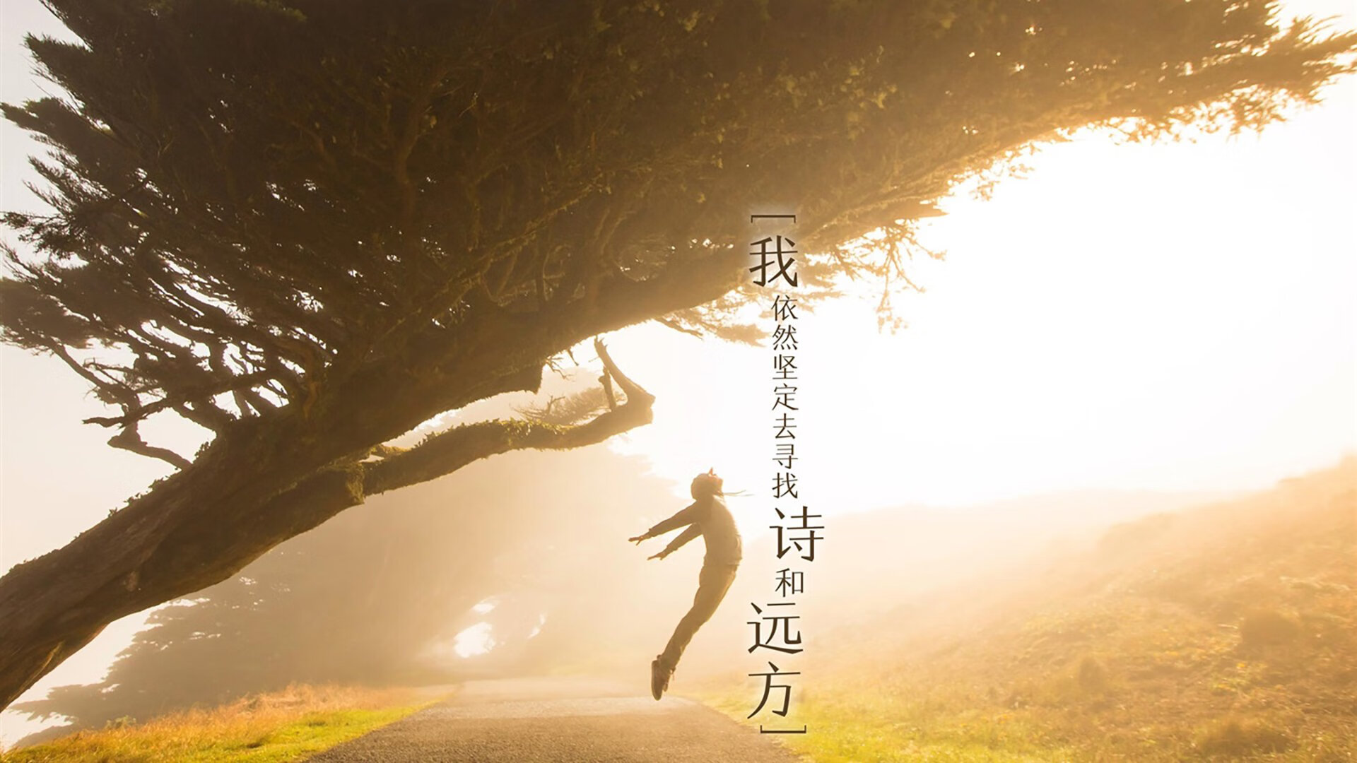 欧洲杯英雄夜：瞬间扭转战局的精彩！，欧洲杯表演嘉宾