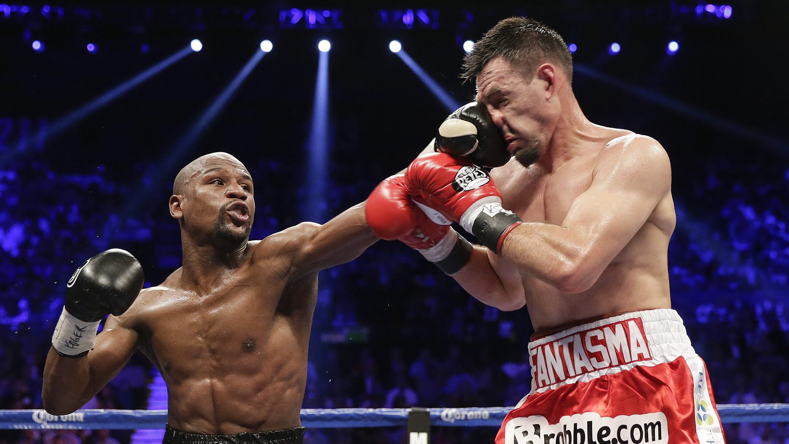 武术表演邀您体验传统文化的奥秘,武术文化传承